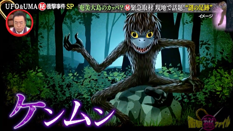 テレビ東京「世界が騒然！本当にあった（秘）衝撃ファイル」UFO&UMA