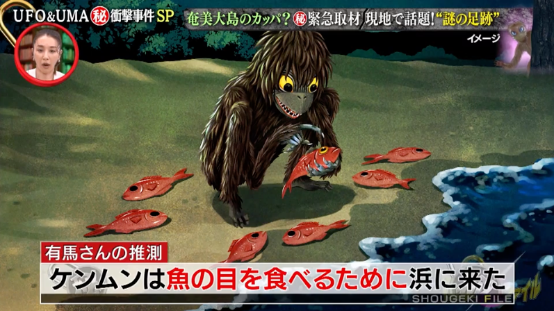 テレビ東京「世界が騒然！本当にあった（秘）衝撃ファイル」UFO&UMA