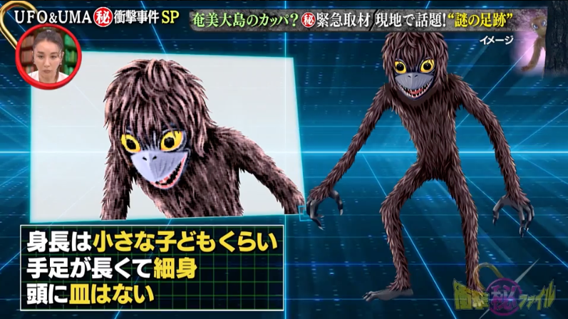 テレビ東京「世界が騒然！本当にあった（秘）衝撃ファイル」UFO&UMA